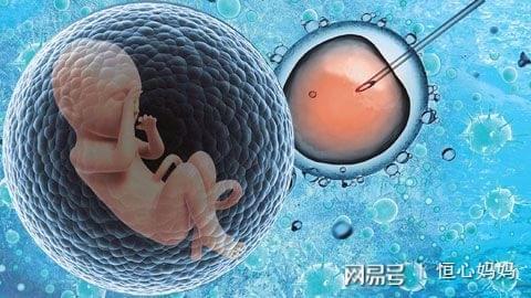 PGT胚胎实验室